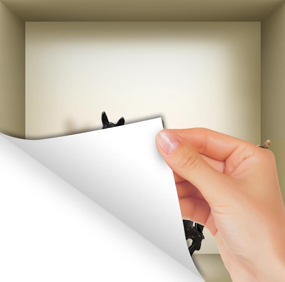 3D Niche Wall Art Decals - Set Of 3 | Easy To Apply, Stunning