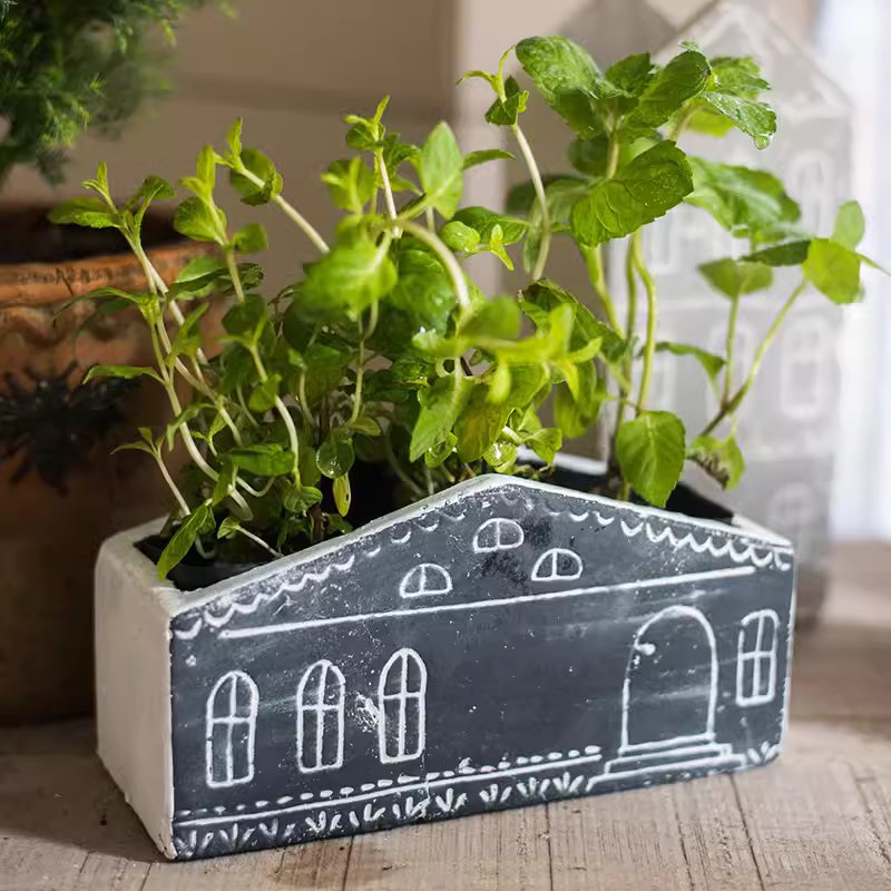 TinyHome Clay Planters