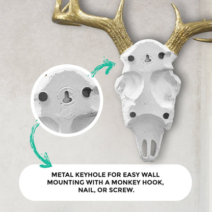White + Gold Deer Skull, 21"